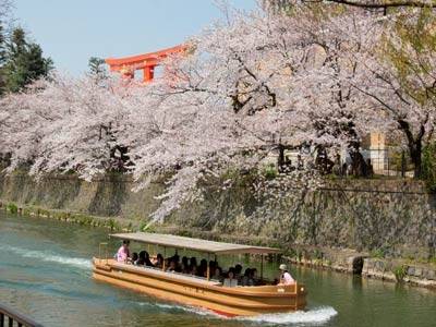 Tour Nhật Bản - Công Ty TNHH Thương Mại Dịch Vụ Và Du Lịch Hưng Phát